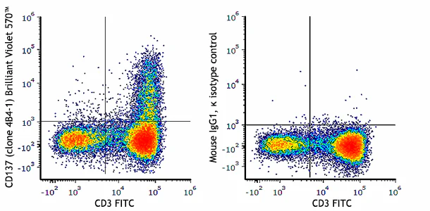 Brilliant Violet 570™ anti-human CD137 (4-1BB)