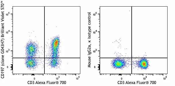 Brilliant Violet 570™ anti-human CD197 (CCR7)