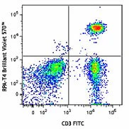 Brilliant Violet 570™ anti-human CD4