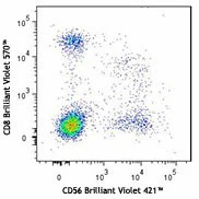 Brilliant Violet 570â„¢ anti-human CD8a - Image 3