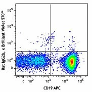 Brilliant Violet 570™ anti-mouse CD3 - Image 2