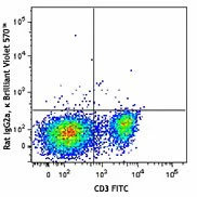 Brilliant Violet 570™ anti-mouse/human CD45R/B220 - Image 2