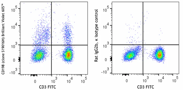Brilliant Violet 605™ anti-human CD198 (CCR8)