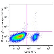 Brilliant Violet 605™ anti-human CD1c - Image 2