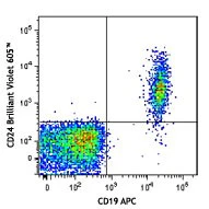Brilliant Violet 605™ anti-human CD24