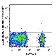 Brilliant Violet 605™ anti-human CD24 - Image 2
