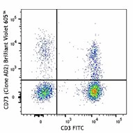 Brilliant Violet 605â„¢ anti-human CD73 (Ecto-5'-nucleotidase)