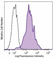 Brilliant Violet 605™ anti-human CD80