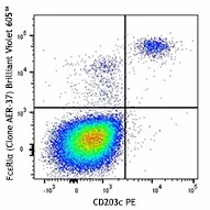 Brilliant Violet 605™ anti-human FcεRIα