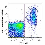 Brilliant Violet 605™ anti-human IgM