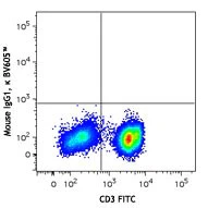 Brilliant Violet 605™ anti-human IL-17A - Image 2