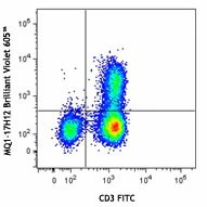 Brilliant Violet 605™ anti-human IL-2