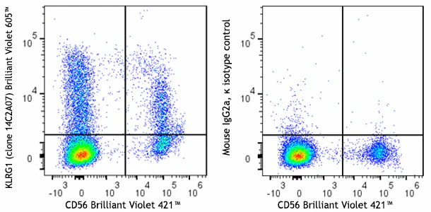 Brilliant Violet 605™ anti-human KLRG1 (MAFA)
