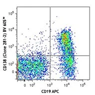 Brilliant Violet 605™ anti-mouse CD138 (Syndecan-1)