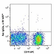 Brilliant Violet 605™ anti-mouse CD138 (Syndecan-1) - Image 2