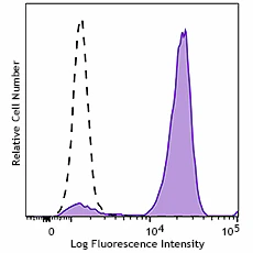 Brilliant Violet 605™ anti-mouse CD16