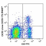 Brilliant Violet 605™ anti-mouse CD183 (CXCR3)
