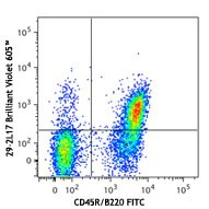 Brilliant Violet 605™ anti-mouse CD196 (CCR6)