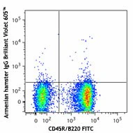 Brilliant Violet 605™ anti-mouse CD196 (CCR6) - Image 2