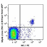 Brilliant Violet 605™ anti-mouse CD335 (NKp46)