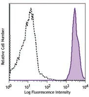 Brilliant Violet 605™ anti-mouse CD45