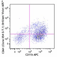 Brilliant Violet 605™ anti-mouse CD64 (FcγRI)