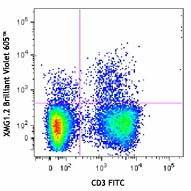 Brilliant Violet 605™ anti-mouse IFN-γ
