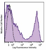 Brilliant Violet 605â„¢ anti-rat CD90/mouse CD90.1 (Thy-1.1)