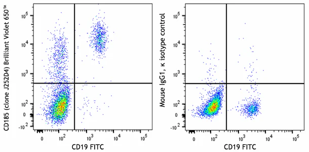 Brilliant Violet 650™ anti-human CD185 (CXCR5)