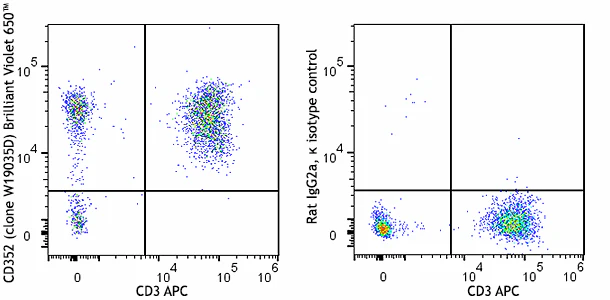 Brilliant Violet 650™ anti-human CD352 (NTB-A)