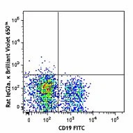 Brilliant Violet 650™ anti-mouse CD138 (Syndecan-1) - Image 2