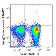 Brilliant Violet 650™ anti-mouse CD185 (CXCR5) - Image 2