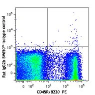 Brilliant Violet 650â„¢ anti-mouse CD317 (BST2, PDCA-1) - Image 2