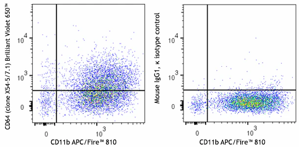 Brilliant Violet 650™ anti-mouse CD64 (FcγRI)