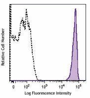 Brilliant Violet 650™ anti-rat CD90/mouse CD90.1 (Thy-1.1)
