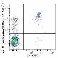 Brilliant Violet 711™ anti-human CD185 (CXCR5)