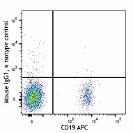 Brilliant Violet 711™ anti-human CD185 (CXCR5) - Image 2