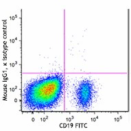 Brilliant Violet 711™ anti-human CD1c - Image 2