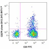 Brilliant Violet 711™ anti-human CD279 (PD-1)