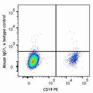 Brilliant Violet 711™ anti-human CD39 - Image 2