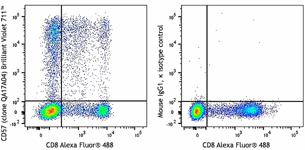 Brilliant Violet 711™ anti-human CD57 Recombinant - Image 2