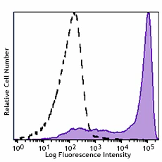 Brilliant Violet 711™ anti-human CD62L