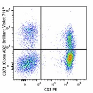 Brilliant Violet 711™ anti-human CD73 (Ecto-5'-nucleotidase)