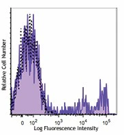 Brilliant Violet 711™ anti-human CD8
