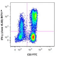 Brilliant Violet 711™ anti-human IFN-γ