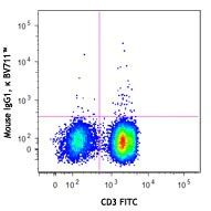 Brilliant Violet 711™ anti-human IFN-γ - Image 2