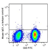Brilliant Violet 711™ anti-human TCR Vα24-Jα18 (iNKT cell) - Image 2