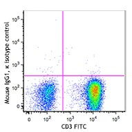 Brilliant Violet 711™ anti-human TCR Vα7.2 - Image 2