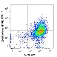 Brilliant Violet 711™ anti-mouse CD115 (CSF-1R)