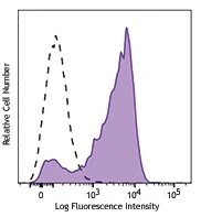 Brilliant Violet 711™ anti-mouse CD16.2 (FcγRIV)